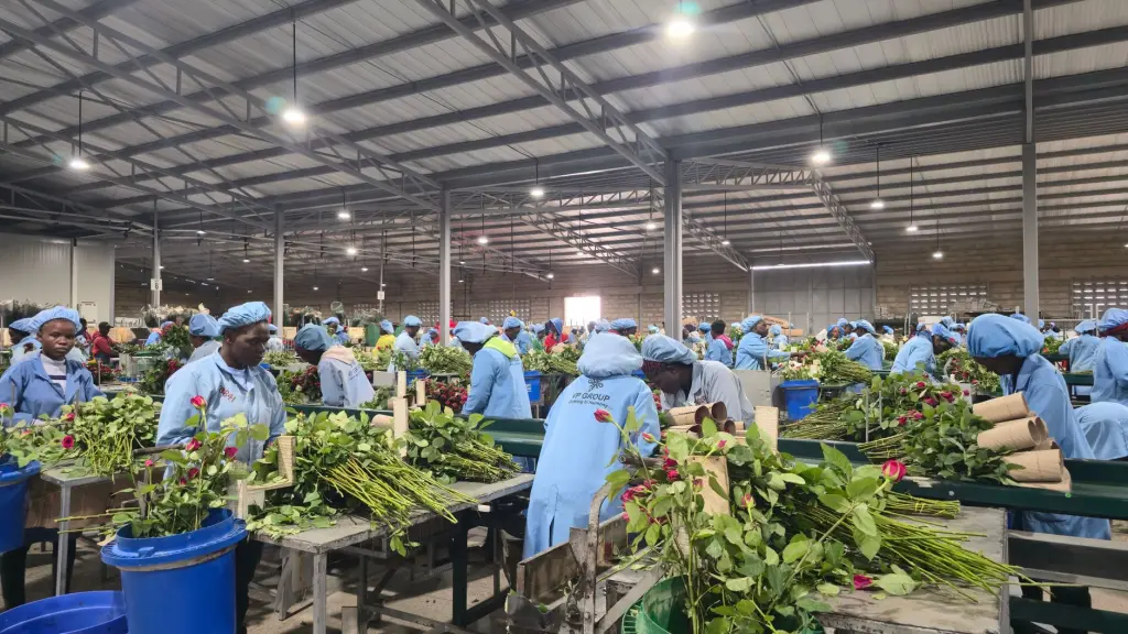 快消品渠道效能评估模型与数字化运营优化方案