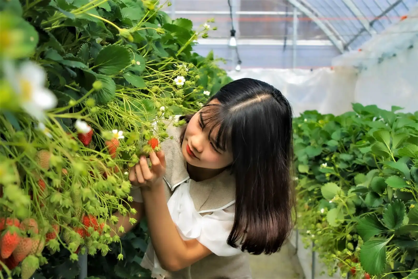 智能家居市场趋势预测:基于用户行为数据的竞争格局分析